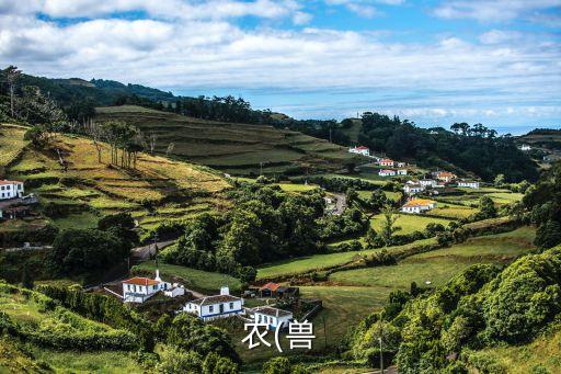 重金屬和農藥屬于什么,農藥中間體屬于什么行業