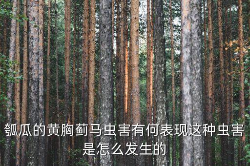 瓠瓜的黃胸薊馬蟲(chóng)害有何表現(xiàn)這種蟲(chóng)害是怎么發(fā)生的