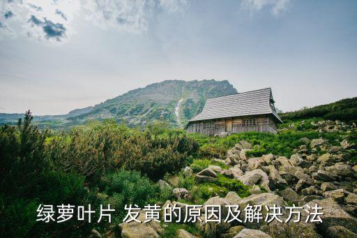 綠蘿葉發黃噴什么農藥,綠蘿發黃是因為什么