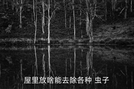 屋里放啥能去除各種 蟲子