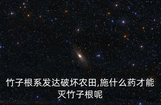 竹子根系發達破壞農田,施什么藥才能滅竹子根呢