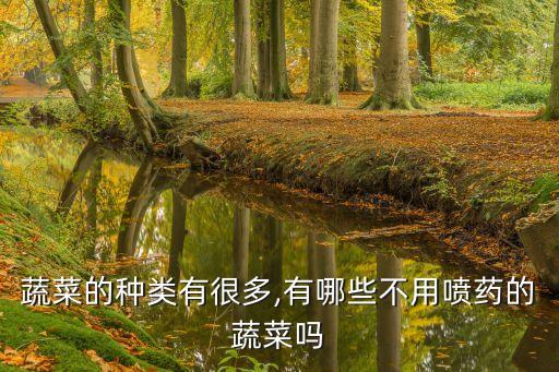 不打農藥種什么菜好些圖片