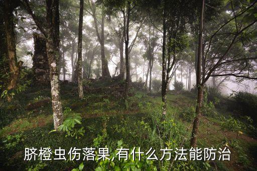 臍橙用什么農藥打藥,臍橙打藥什么時間最好