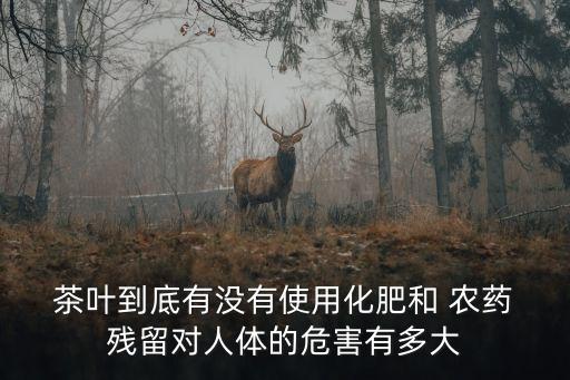  茶葉到底有沒有使用化肥和 農(nóng)藥 殘留對人體的危害有多大