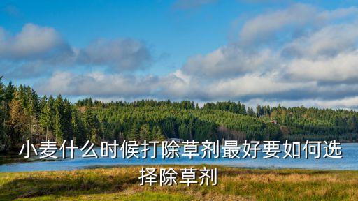 小麥?zhǔn)裁磿r候打除草劑最好要如何選擇除草劑