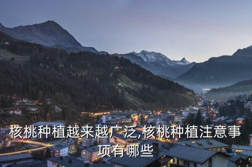 核桃種植越來越廣泛,核桃種植注意事項有哪些