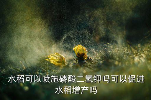 水稻灌漿期間用什么農藥,什么是水稻灌漿