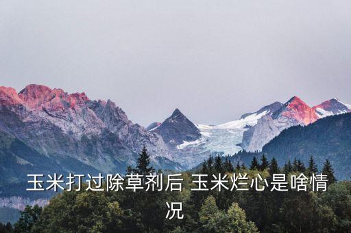 玉米打過除草劑后 玉米爛心是啥情況