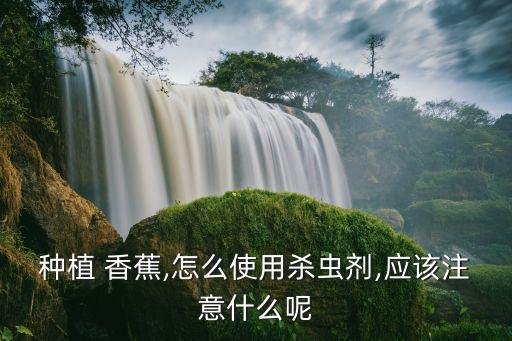 香蕉中的農藥是什么化學,香蕉的味道是什么化學物