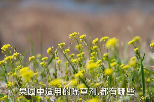 什么草需要農藥,殺節節草用什么農藥