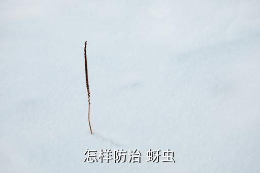 用什么農藥可以防止蚜蟲,什么農藥治蚜蟲效果好