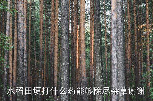 水稻田埂打什么藥能夠除盡雜草謝謝