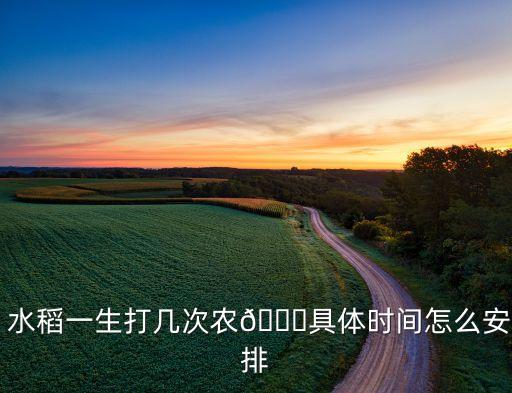 水稻一生打幾次農?具體時間怎么安排