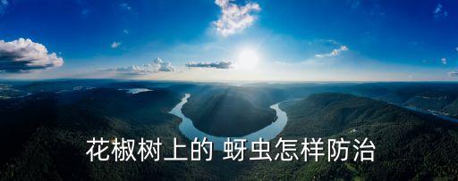  花椒樹上的 蚜蟲怎樣防治