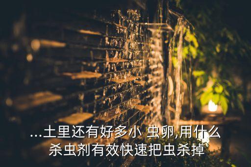有什么農(nóng)藥殺蟲殺蟲卵,什么農(nóng)藥殺蟲效果好期又長