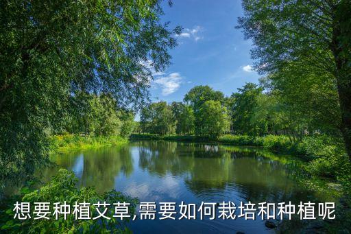 艾稿地里用什么農(nóng)藥除草