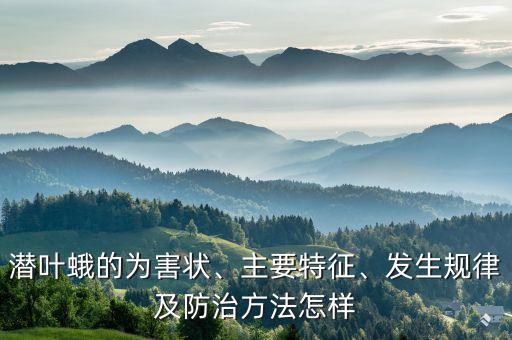 潛葉蛾的為害狀、主要特征、發(fā)生規(guī)律及防治方法怎樣