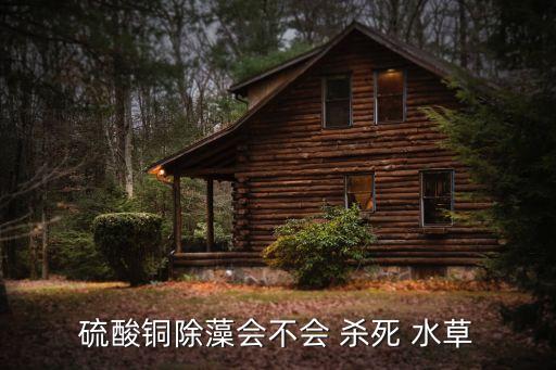 什么農藥能殺死水草,殺死水草的克星農藥