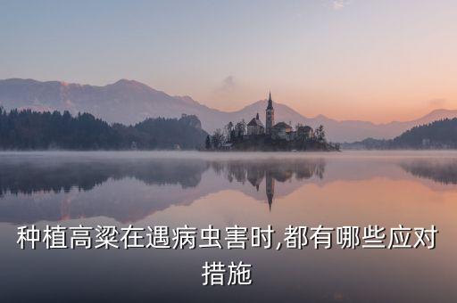 蘇地里有高糧用什么農藥