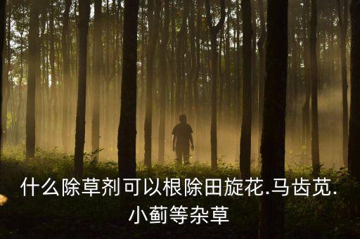 什么農藥除根,什么蔬菜不打農藥