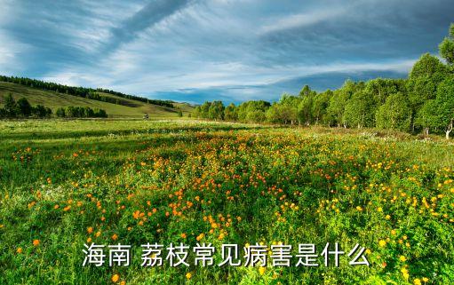 海南 荔枝常見病害是什么