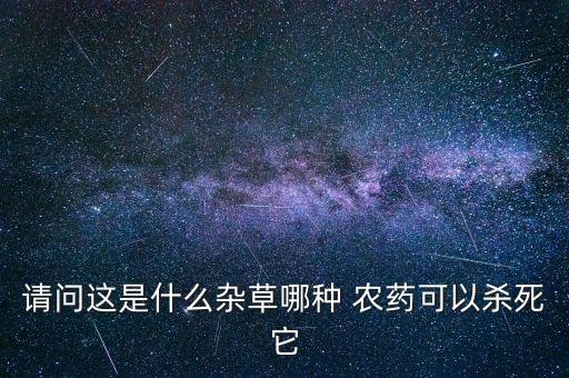 這種草用什么農藥打死,什么農藥能把玉米打死