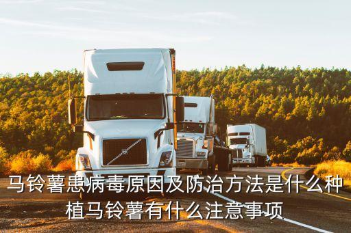 土豆種子害蟲用什么農藥,土豆地不用農藥治地下害蟲