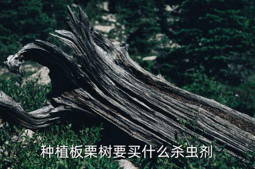 種植板栗樹要買什么殺蟲劑