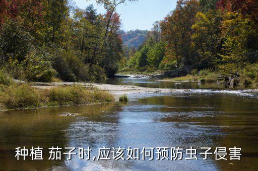 茄子為什么要打農藥,茄子打農藥嗎...