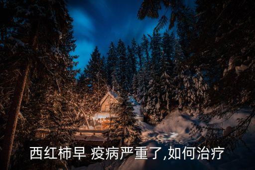 西紅柿早 疫病嚴重了,如何治療