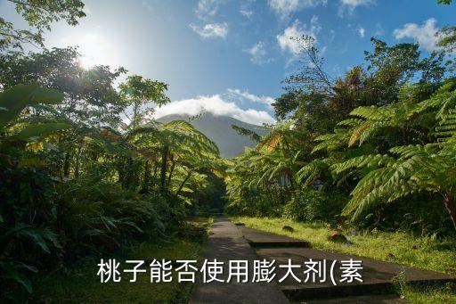 桃子開花用什么農藥,桃子現在打什么農藥