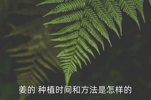 生姜種植什么時(shí)候打農(nóng)藥