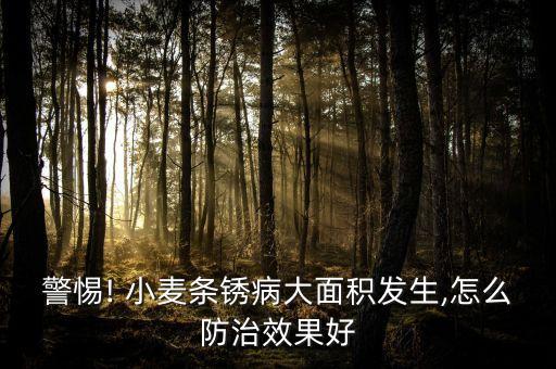 小麥黃銹用什么農藥,什么農藥能把小麥打死