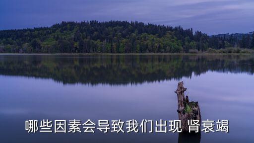 哪些因素會導(dǎo)致我們出現(xiàn) 腎衰竭