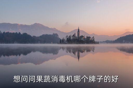 想問問果蔬消毒機(jī)哪個(gè)牌子的好