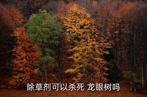 ,龍眼樹嫩葉用什么農(nóng)藥