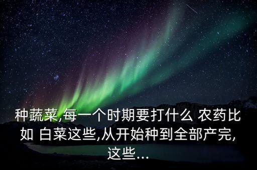 白菜桔黃打什么農藥,黃白菜不能和什么一起吃