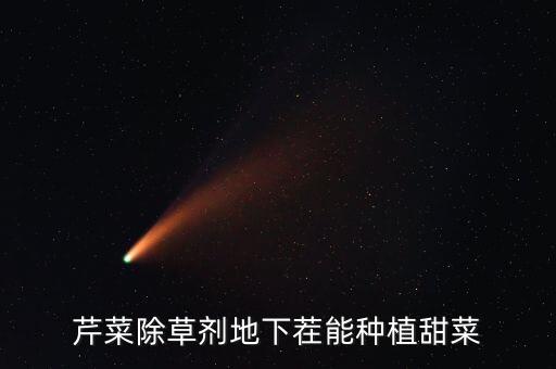 芹菜除草劑地下茬能種植甜菜