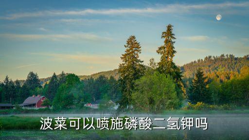 菠菜種植打什么農藥好使,菠菜適合什么溫度種植