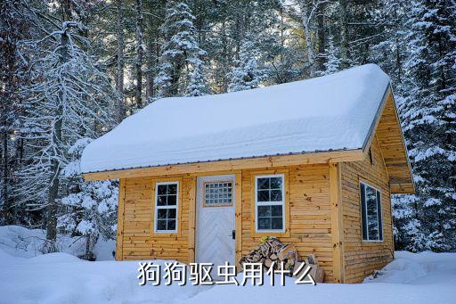 狗狗驅蟲用什么