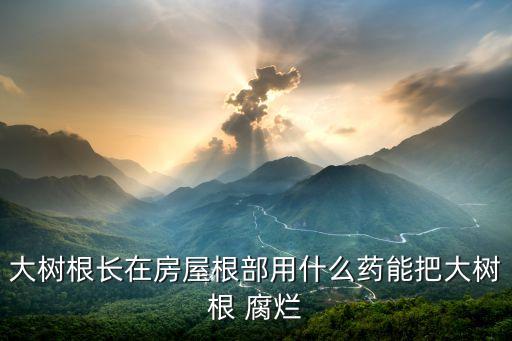 大樹根長在房屋根部用什么藥能把大樹根 腐爛