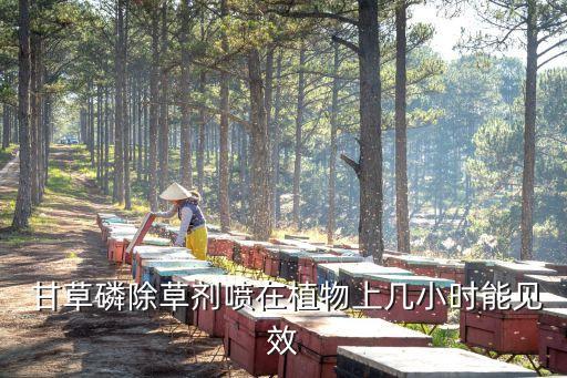 農(nóng)藥甘草磷殺什么草,甘草磷農(nóng)藥毒性有多強(qiáng)