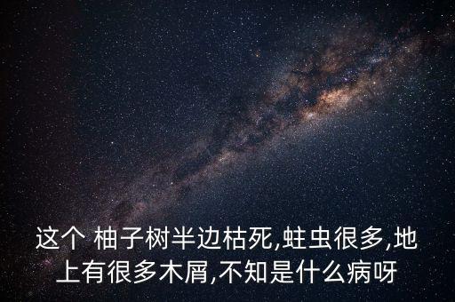 柚子樹除蟲用什么農藥,除蟲農藥什么時間施好?