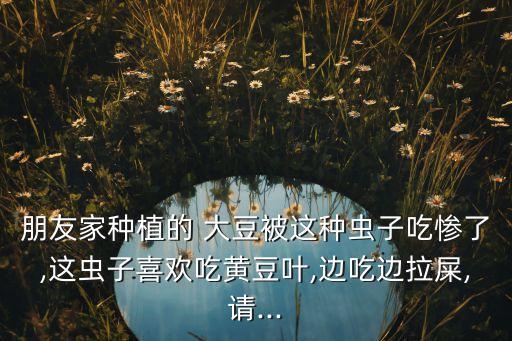 大豆毒蛾有什么農藥治,毒蛾用什么農藥