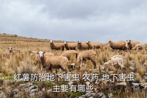 紅薯防治地下害蟲 農藥,地下害蟲主要有哪些