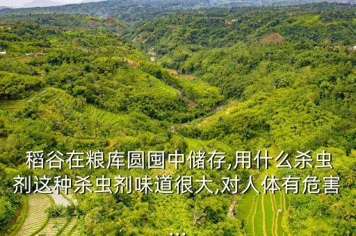 稻谷紅粒用什么農藥呢,稻谷打什么農藥