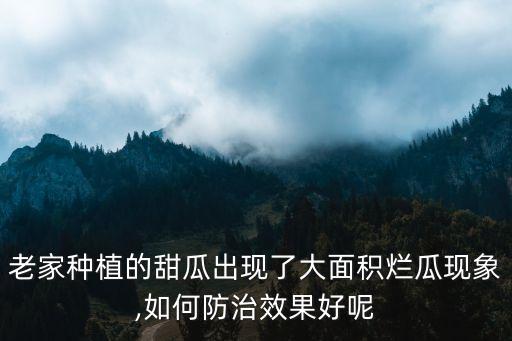 德國什么農(nóng)藥治瓜爛,瓜絹螟用什么農(nóng)藥最好