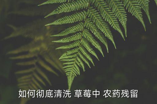 草莓去農藥放什么,草莓的農藥有什么危害