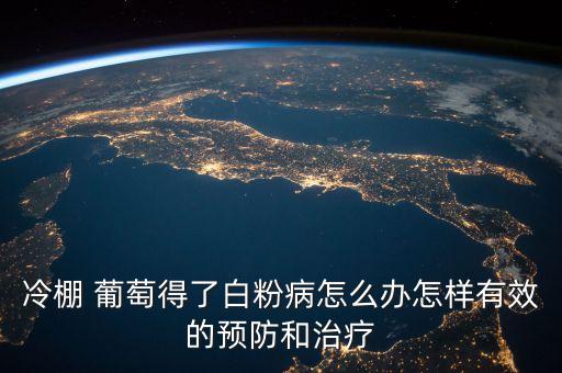 葡萄長白斑打什么農藥