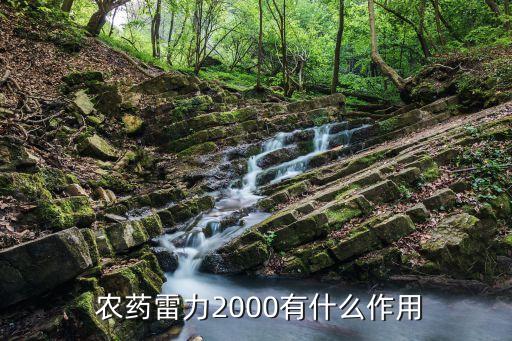 農(nóng)藥雷力2000有什么作用